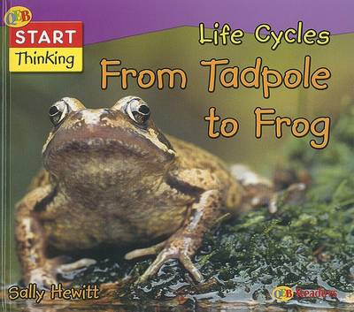 Cover of Life Cycles from Tadpole to Frog