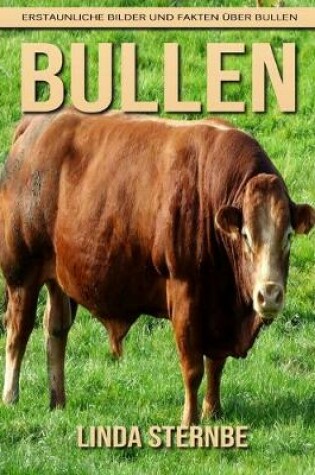 Cover of Bullen