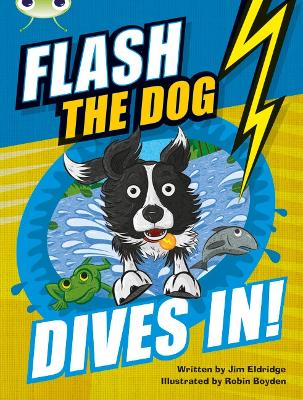 Book cover for Bug Club Independent Fiction Year 3 Brown B Flash the Dog Dives In!