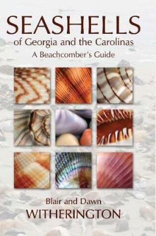 Cover of Seashells of Georgia and the Carolinas