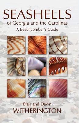 Book cover for Seashells of Georgia and the Carolinas