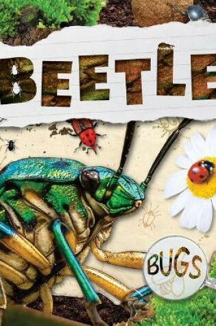 Cover of Beetles