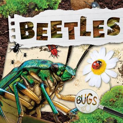 Book cover for Beetles