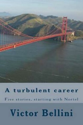 Cover of A turbulent career