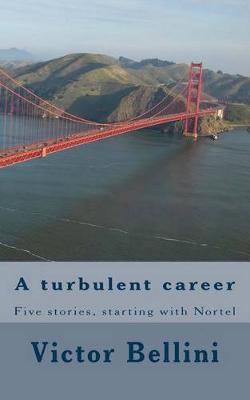 Cover of A turbulent career