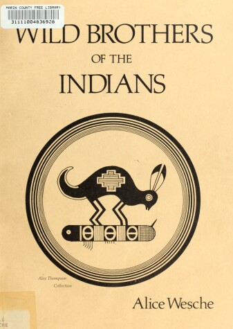 Book cover for Wild Brothers of the Indians