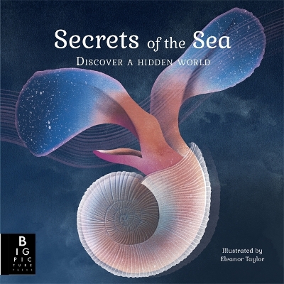 Book cover for Secrets of the Sea