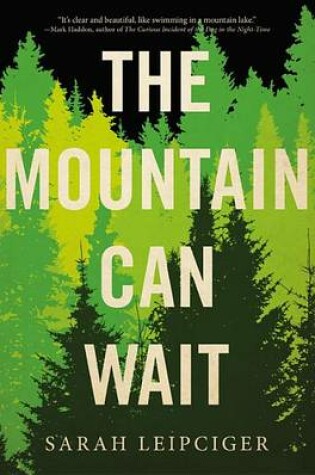 Cover of The Mountain Can Wait