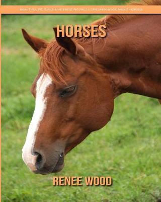 Book cover for Horses