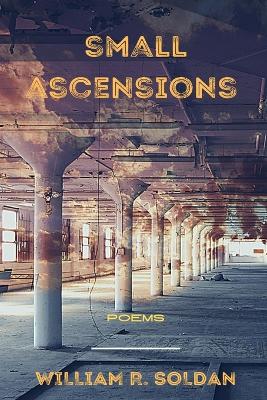 Book cover for Small Ascensions