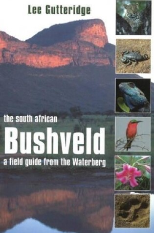 Cover of The South African Bushveld