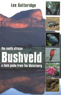 Book cover for The South African Bushveld