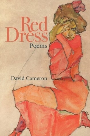 Cover of Red Dress