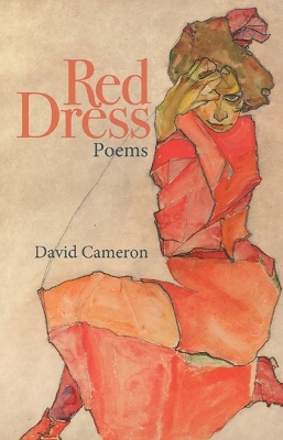 Book cover for Red Dress