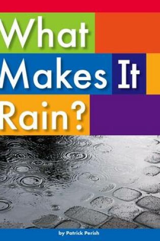 Cover of What Makes It Rain?