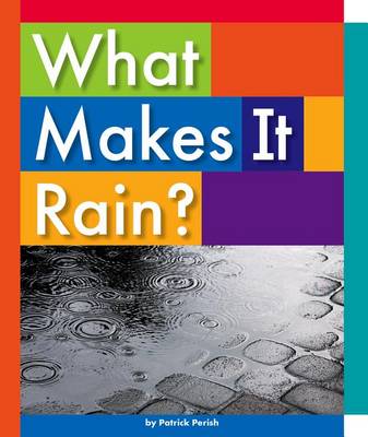 Cover of What Makes It Rain?