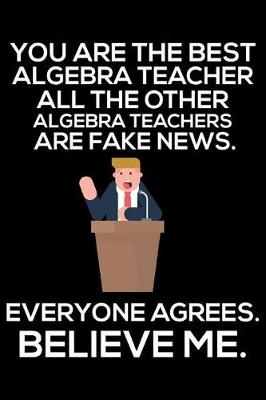 Book cover for You Are The Best Algebra Teacher All The Other Algebra Teachers Are Fake News. Everyone Agrees. Believe Me.