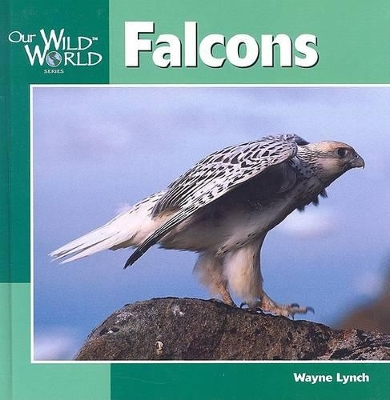 Book cover for Falcons