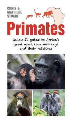 Book cover for Primates