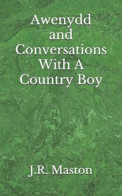 Book cover for Awenydd and Conversations With A Country Boy