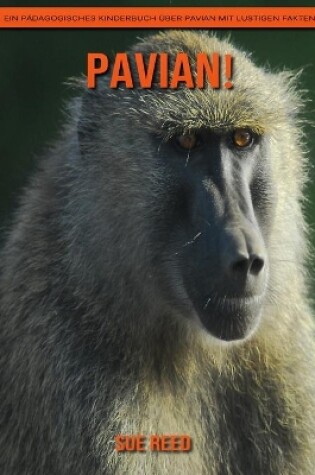 Cover of Pavian! Ein pädagogisches Kinderbuch über Pavian mit lustigen Fakten