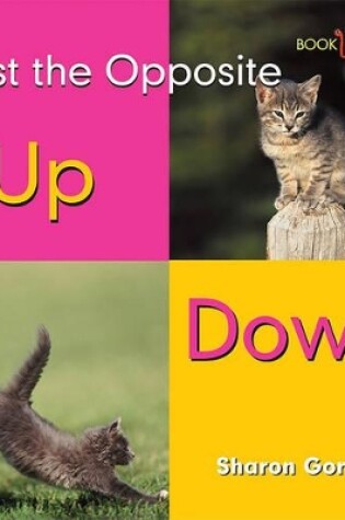 Cover of Up, Down