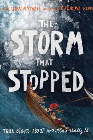 Cover of The Storm That Stopped Storybook