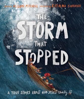 Book cover for The Storm That Stopped Storybook