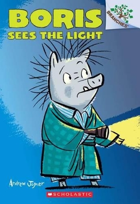 Cover of Boris Sees the Light: A Branches Book (Boris #4)