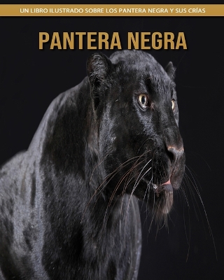 Book cover for Pantera negra