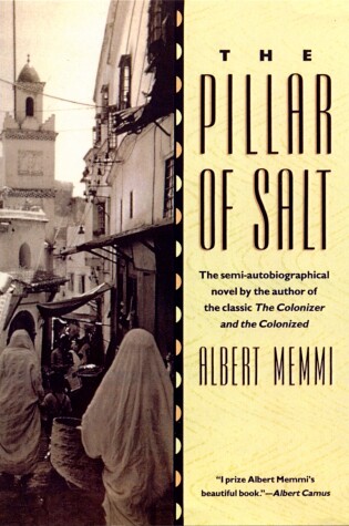Cover of The Pillar of Salt