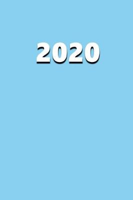 Book cover for 2020 Daily Planner 2020 Baby Blue Color 384 Pages