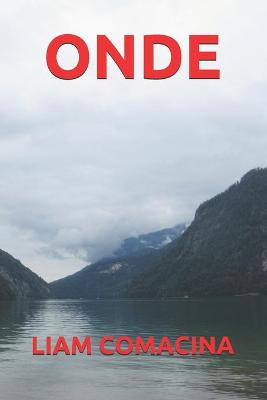 Book cover for Onde