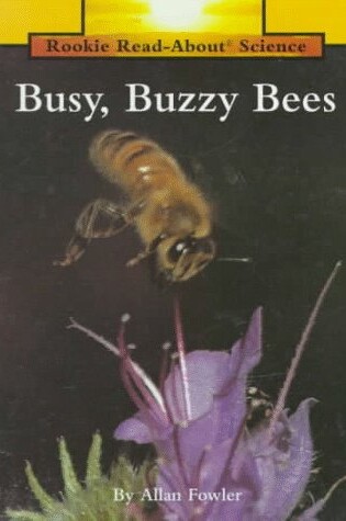 Cover of Busy, Buzzy Bees