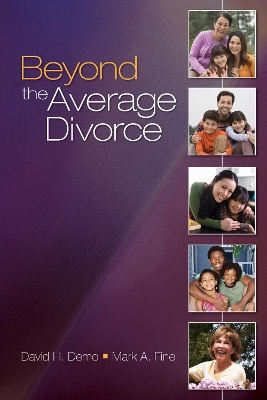 Book cover for Beyond the Average Divorce