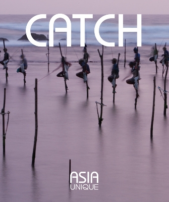 Book cover for Catch