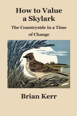 Book cover for How to Value a Skylark