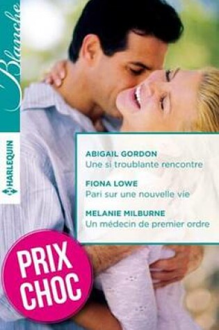 Cover of Une Si Troublante Rencontre - Pari Sur Une Nouvelle Vie - Un Medecin de Premier Ordre