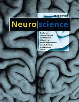 Book cover for Neuroscience Including Sylvius CD-ROM