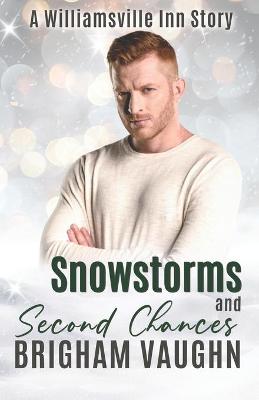 Book cover for Snowstorms and Second Chances