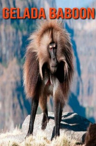 Cover of Gelada Baboon