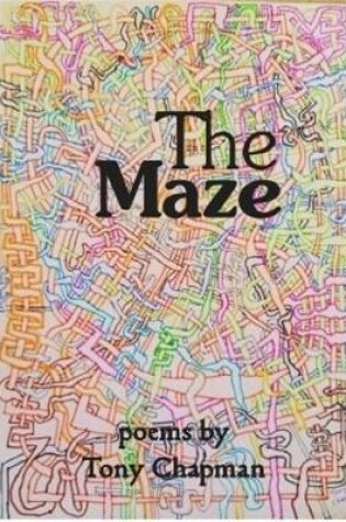 Cover of The Maze