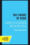 Book cover for The Figure of Echo