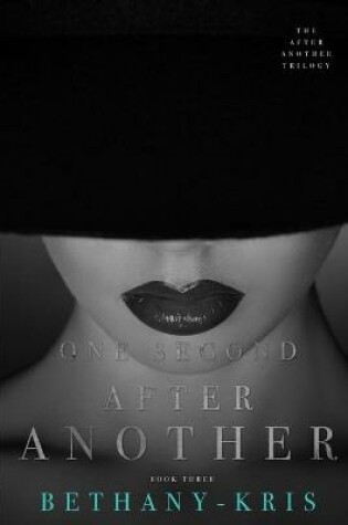 Cover of One Second After Another