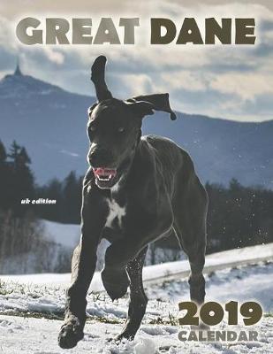 Book cover for Great Dane 2019 Calendar (UK Edition)