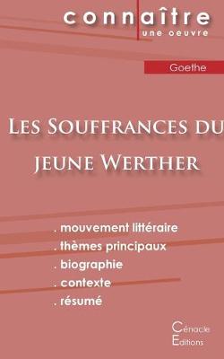 Book cover for Fiche de lecture Les Souffrances du jeune Werther de Goethe (Analyse litteraire de reference et resume complet)