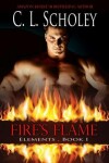 Book cover for Fire's Flame