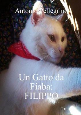 Book cover for Un Gatto da Fiaba