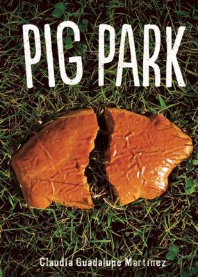 Book cover for Pig Park