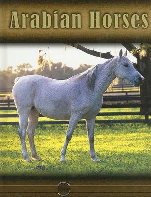 Cover of Arabian Horses